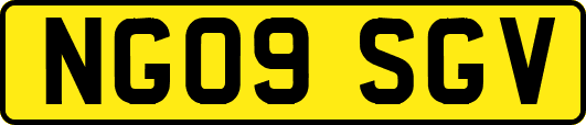 NG09SGV