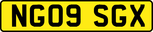 NG09SGX