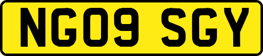 NG09SGY