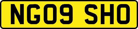 NG09SHO