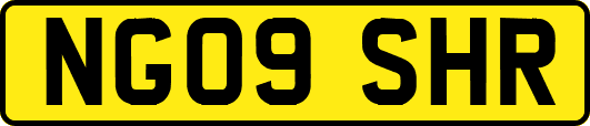 NG09SHR