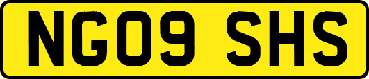 NG09SHS