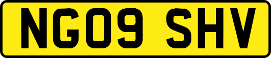 NG09SHV