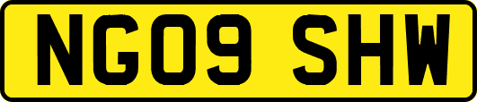 NG09SHW