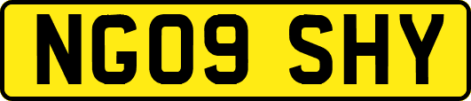 NG09SHY