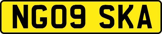 NG09SKA