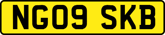 NG09SKB