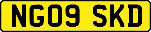 NG09SKD