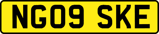 NG09SKE