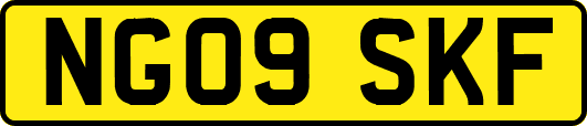 NG09SKF