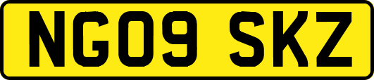 NG09SKZ