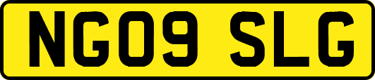 NG09SLG