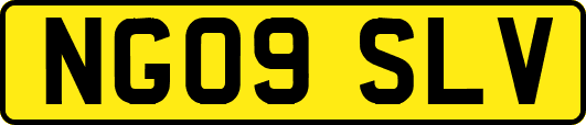 NG09SLV