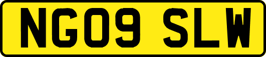 NG09SLW