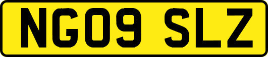 NG09SLZ