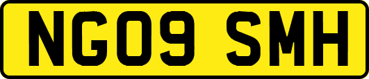 NG09SMH