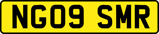 NG09SMR