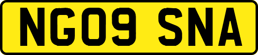 NG09SNA