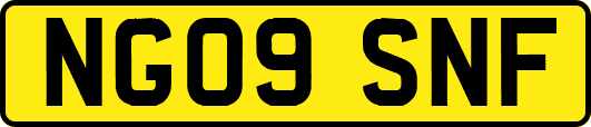 NG09SNF