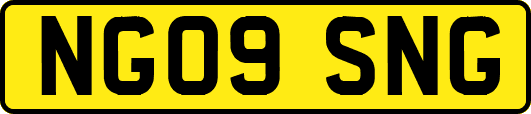 NG09SNG