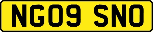 NG09SNO