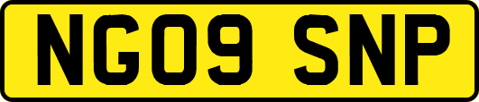 NG09SNP