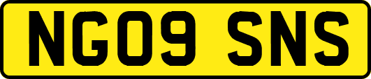 NG09SNS