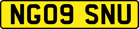 NG09SNU