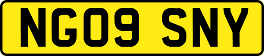 NG09SNY