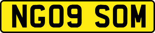 NG09SOM