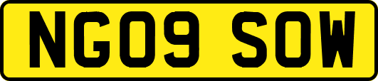 NG09SOW