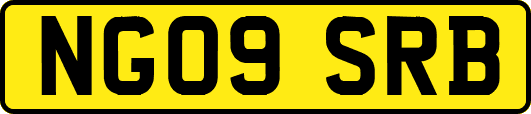 NG09SRB