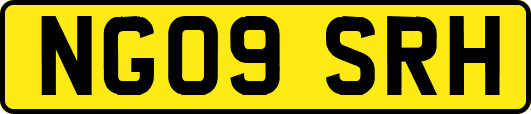 NG09SRH