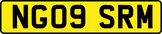 NG09SRM