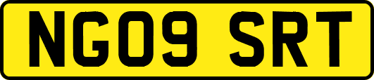 NG09SRT
