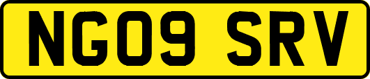 NG09SRV