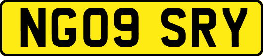 NG09SRY
