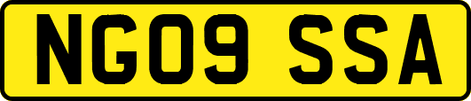 NG09SSA