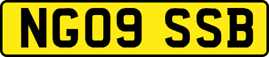 NG09SSB