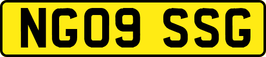 NG09SSG