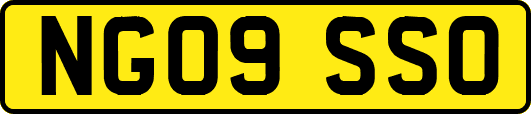 NG09SSO