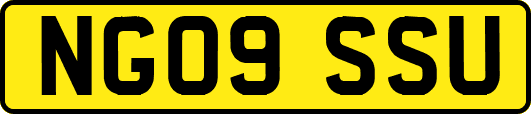 NG09SSU