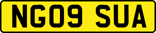 NG09SUA