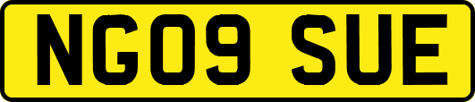 NG09SUE