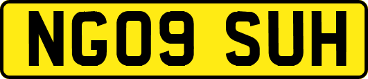 NG09SUH