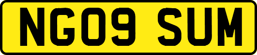 NG09SUM