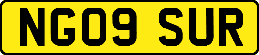NG09SUR
