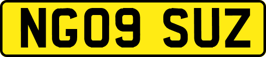 NG09SUZ