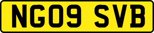 NG09SVB