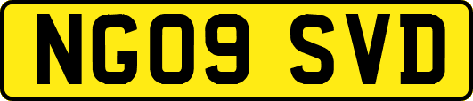 NG09SVD